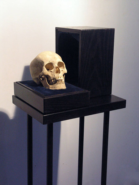 JC joe skull open